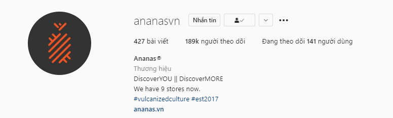 Phần Bio của Instagram ananasvn